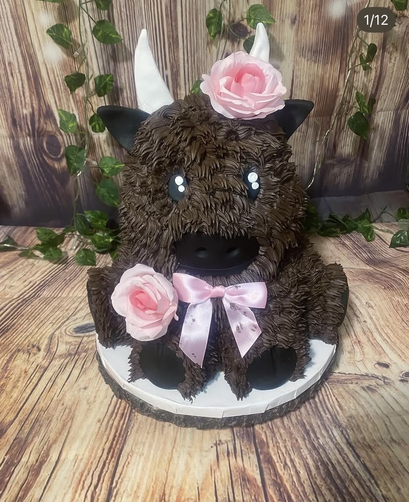 Buffalo themed cake by Trista's Treats